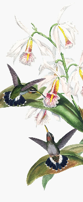 Estor opaco con diseño de pájaros en una flor
