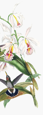 Estor opaco con diseño de pájaros en una flor