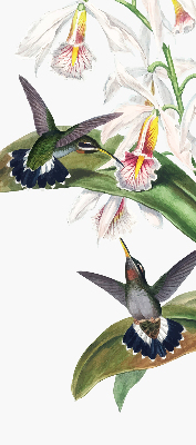 Estor opaco con diseño de pájaros en una flor