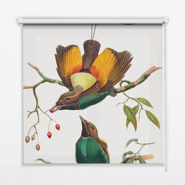 Estor decorativo pájaros en una rama