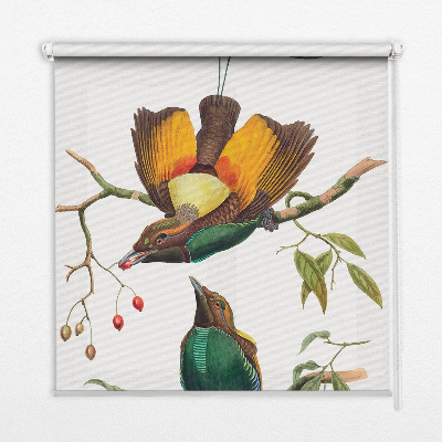 Estor decorativo pájaros en una rama