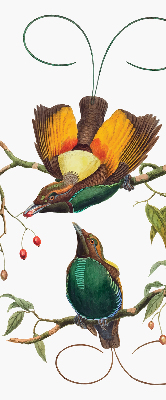 Estor decorativo pájaros en una rama