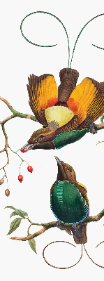 Estor decorativo pájaros en una rama