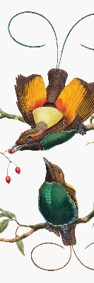 Estor decorativo pájaros en una rama