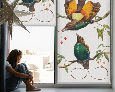 Estor decorativo pájaros en una rama