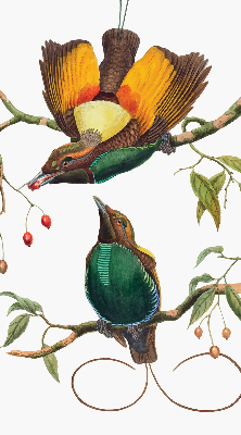 Estor decorativo pájaros en una rama