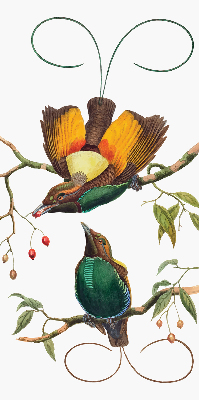 Estor decorativo pájaros en una rama