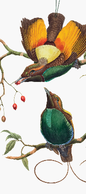 Estor decorativo pájaros en una rama