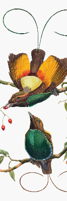 Estor decorativo pájaros en una rama
