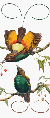 Estor decorativo pájaros en una rama