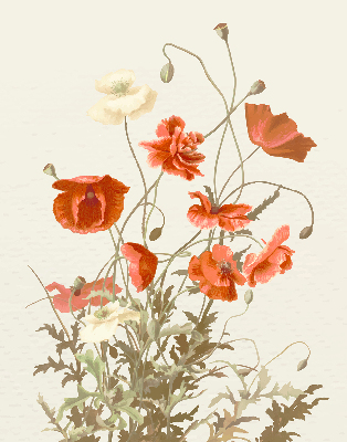 Estor opaco en color amapolas