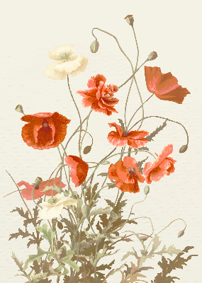Estor opaco en color amapolas