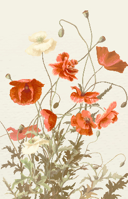 Estor opaco en color amapolas