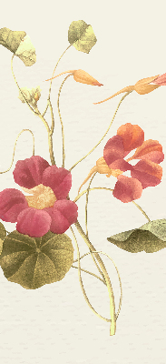 Estor decorativo flor