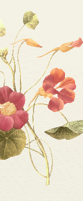Estor decorativo flor