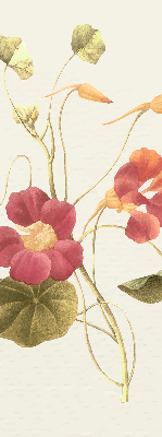 Estor decorativo flor