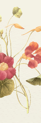 Estor decorativo flor