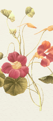 Estor decorativo flor