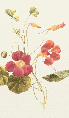 Estor decorativo flor