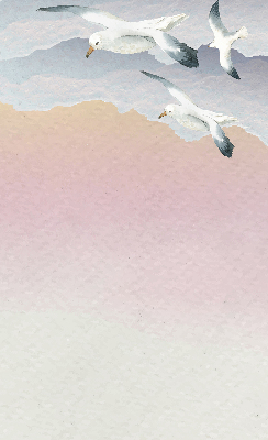 Estor opaco con diseño de pájaros voladores