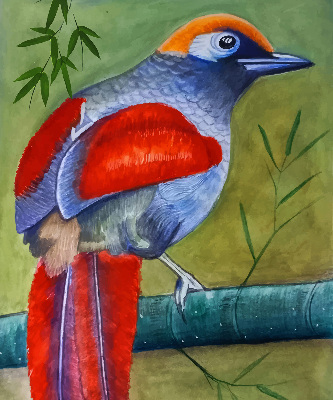 Estor opaco con diseño de un pájaro en una rama