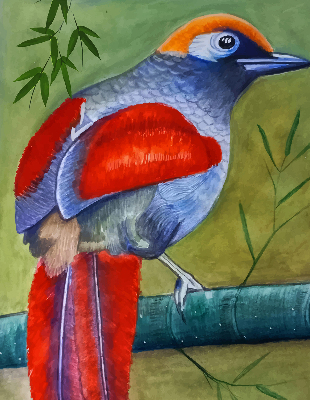 Estor opaco con diseño de un pájaro en una rama
