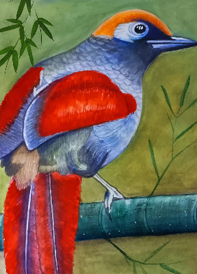 Estor opaco con diseño de un pájaro en una rama