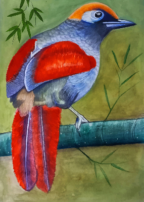 Estor opaco con diseño de un pájaro en una rama