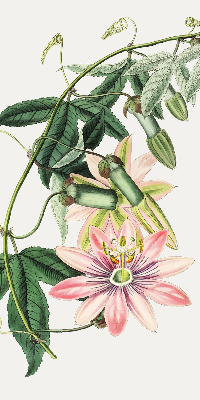 Estor opaco en color flor rosa