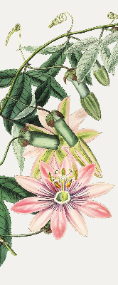 Estor opaco en color flor rosa