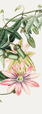 Estor opaco en color flor rosa