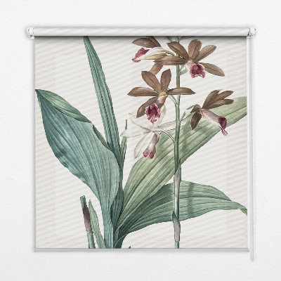 Estor enrollable de tela flor