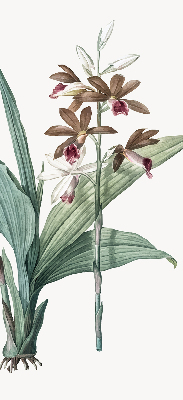 Estor enrollable de tela flor