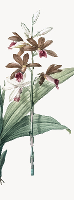 Estor enrollable de tela flor