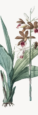 Estor enrollable de tela flor