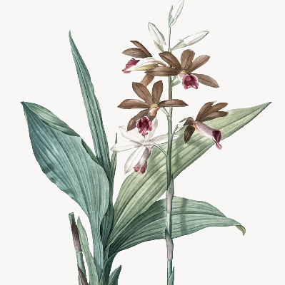 Estor enrollable de tela flor