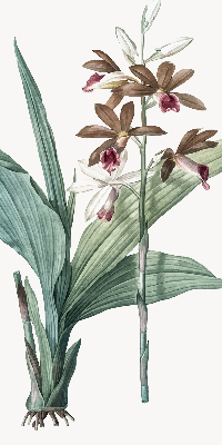 Estor enrollable de tela flor