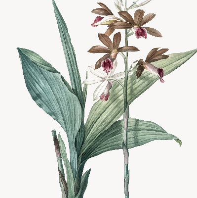 Estor enrollable de tela flor