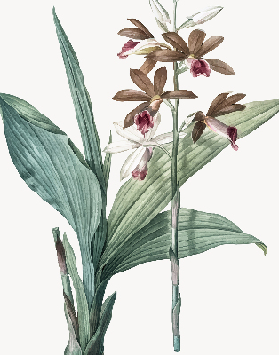 Estor enrollable de tela flor