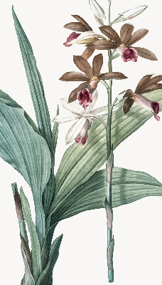 Estor enrollable de tela flor