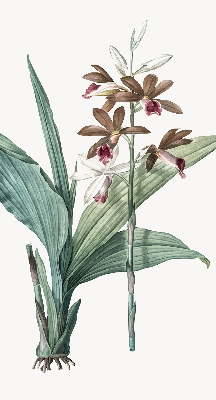 Estor enrollable de tela flor