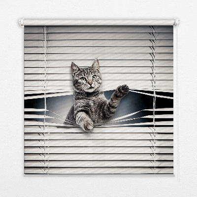 Estor decorativo de gato