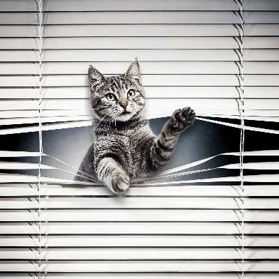 Estor decorativo de gato