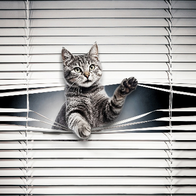 Estor decorativo de gato