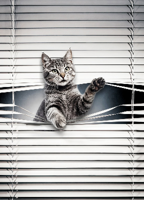 Estor decorativo de gato