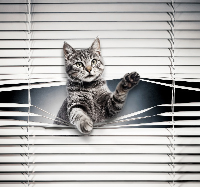 Estor decorativo de gato