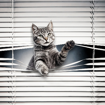 Estor decorativo de gato