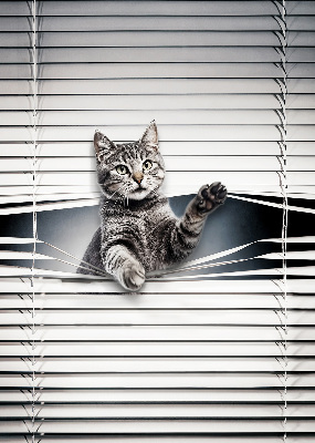Estor decorativo de gato