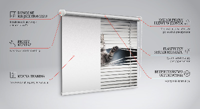 Estor decorativo de gato
