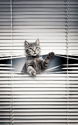 Estor decorativo de gato
